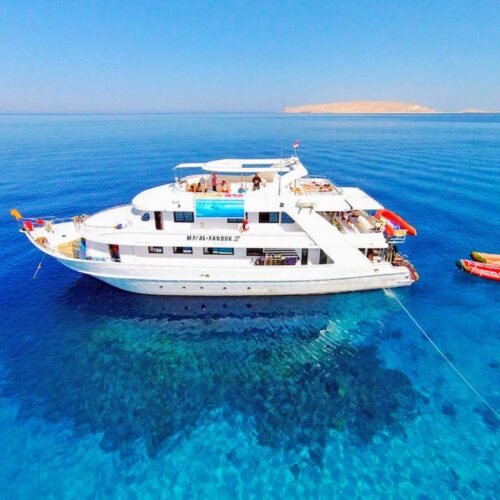 Private boat tour for snorkeling and diving