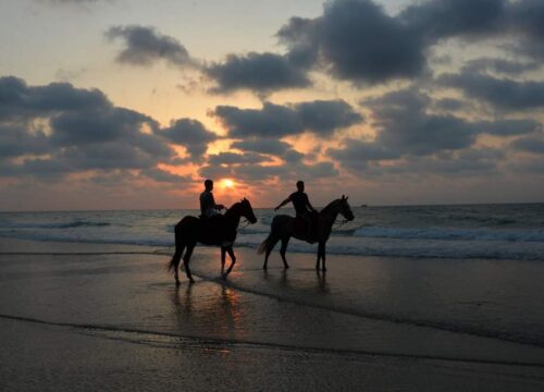 Horseback riding in Hurghada: Horseback riding on the beach or in the desert